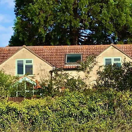The Laurels Villa Westwood Exteriör bild